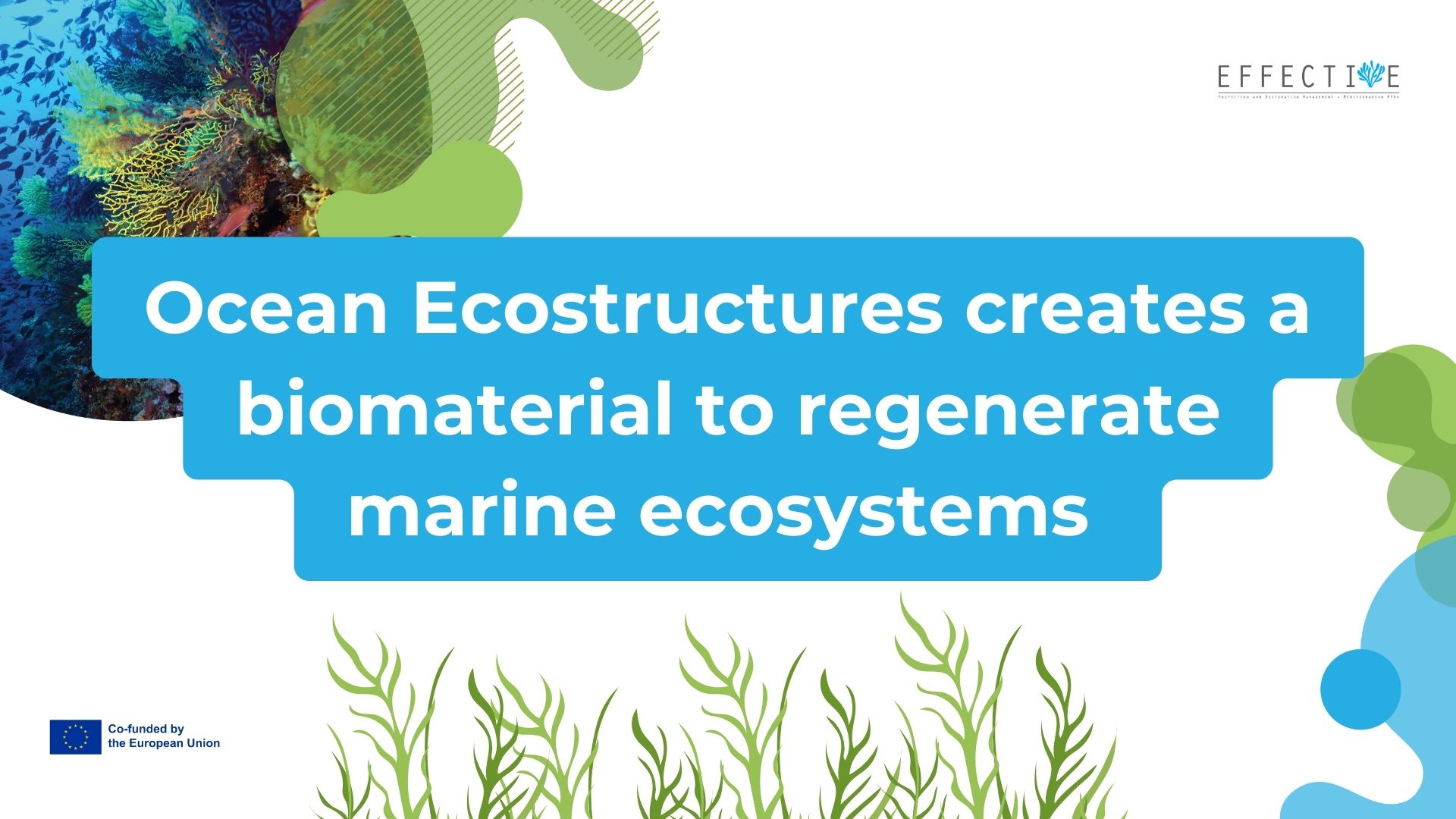 Ocean Ecostructures creates a biomaterial to regenerate marine ...