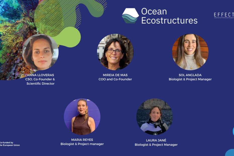 EFFECTIVE - Ocean Ecostructures team